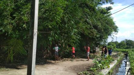 Warga Masyarakat Masahan Gotong Royong Bersihkan Jalan dan Rombak Pohon Bambu