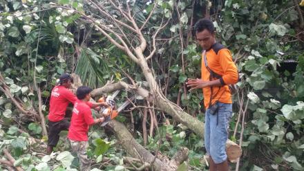 FPRB Manunggal Evakuasi Pohon Tumbang Akibat Hujan Deras