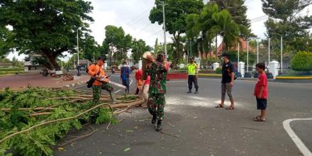 FPRB Desa Trirenggo Rabas-rabas Pohon Antisipasi Padam Listrik