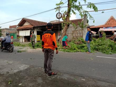 FPRB Desa Trirenggo Kembali Adakan Rabas-rabas Pohon