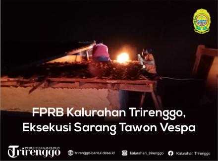 FPRB Kalurahan Trirenggo,  Eksekusi Sarang Tawon Vespa