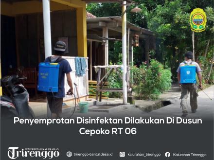 Penyemprotan Disinfektan Dilakukan Di Dusun Cepoko RT 06