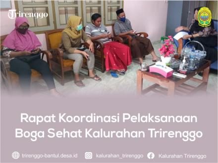 Rapat Koordinasi Pelaksanaan Boga Sehat Kalurahan Trirenggo