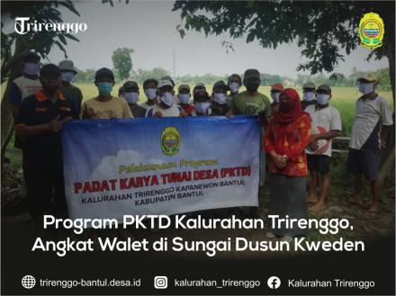 Program PKTD Kalurahan Trirenggo, Angkat Walet di Sungai Dusun Kweden