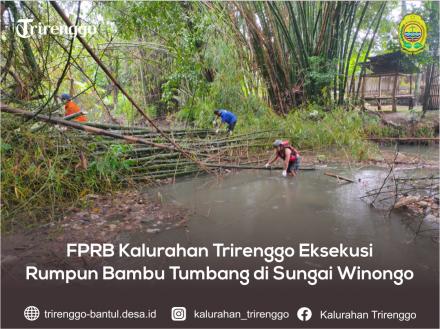 FPRB Kalurahan Trirenggo Eksekusi Rumpun Bambu Tumbang di Sungai Winongo