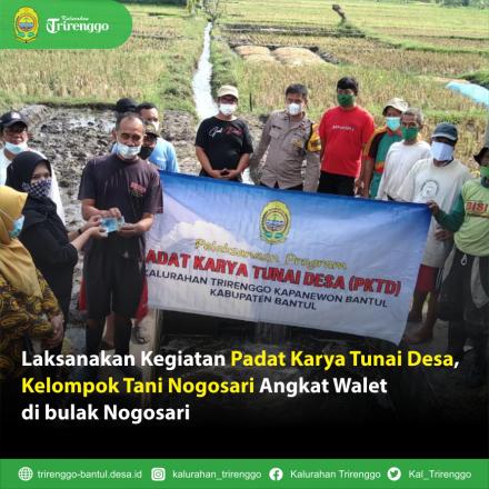 Laksanakan Kegiatan Padat Karya Tunai Desa, Kelompok Tani Nogosari Angkat Walet di bulak Nogosari